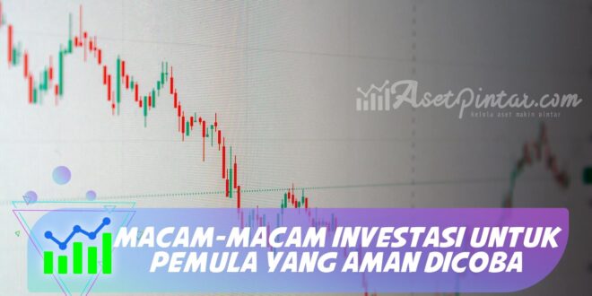 MACAM-MACAM INVESTASI UNTUK PEMULA YANG AMAN DICOBA