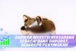 JADIKAN INVESTSI REKSADANA SEBAGAI DANA DARURAT, SEBERAPA PENTINGKAH