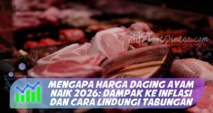 MENGAPA HARGA DAGING AYAM NAIK 2026: DAMPAK KE INFLASI DAN CARA LINDUNGI TABUNGAN