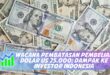 WACANA PEMBATASAN PEMBELIAN DOLAR US 25.000: DAMPAK KE INVESTOR INDONESIA