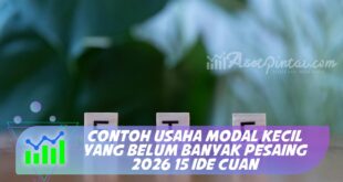 CONTOH USAHA MODAL KECIL YANG BELUM BANYAK PESAING 2026 15 IDE CUAN