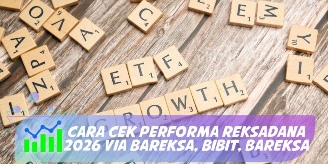 CARA CEK PERFORMA REKSADANA 2026 VIA BAREKSA, BIBIT, BAREKSA