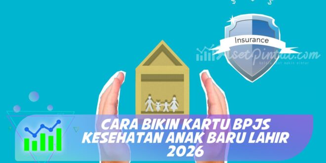 CARA BIKIN KARTU BPJS KESEHATAN ANAK BARU LAHIR 2026
